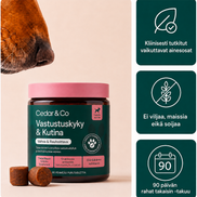 Vastustuskyky & Kutina