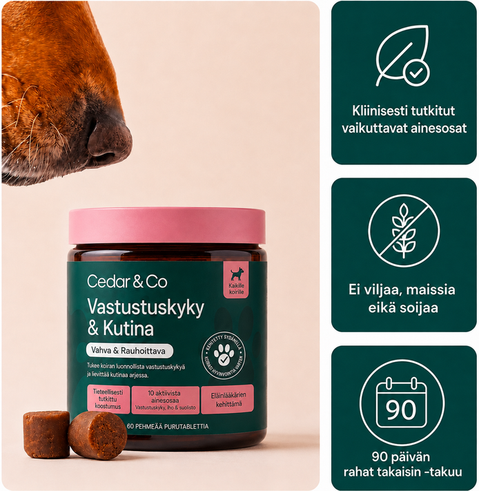 Vastustuskyky & Kutina