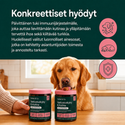 Vastustuskyky & Kutina