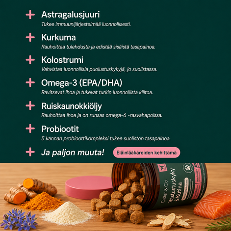Vastustuskyky & Kutina