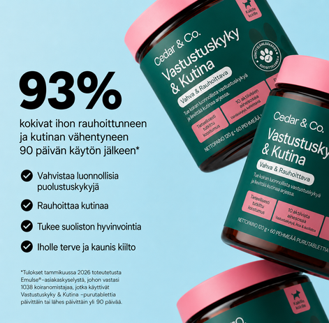 Vastustuskyky & Kutina
