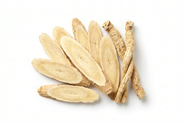 Astragalusjuuri